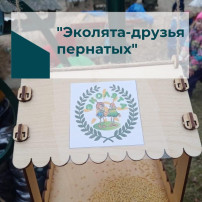 Покормите птиц зимой Покормите птиц зимой.
